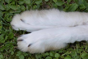 2009-08-15 um 15-11-21