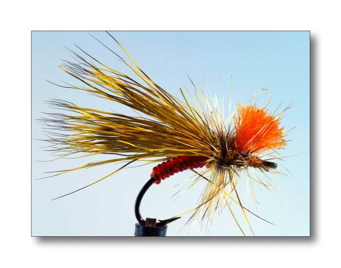 Fokus Ergebnis 1 (B, 8, 4)