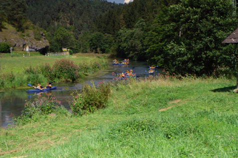 Wisent August 2013  935