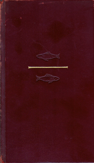 d.v. Angler2