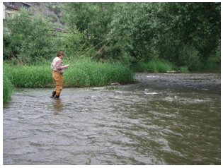 2008-06-05 um 13-50-16