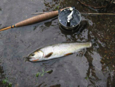 2009-10-19 um 11-16-30